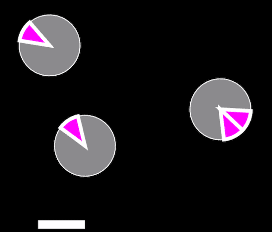 "Pi in the Sky" code example