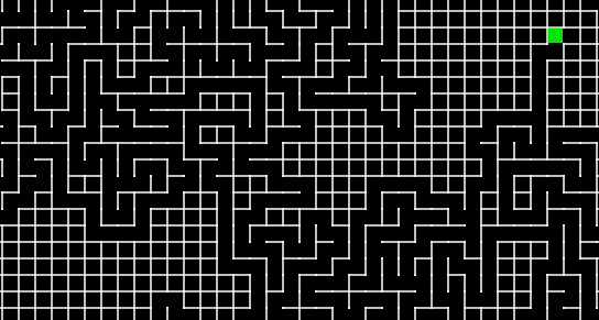 Maze